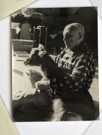 Фотографии Quinn - Picasso sa chèvre dans les bras à la Californie