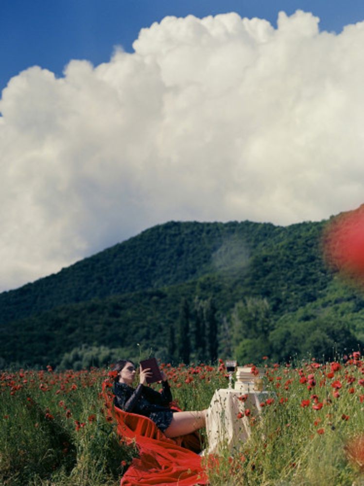 Фотографии Sitchinava - Picnic in a Poppy Field