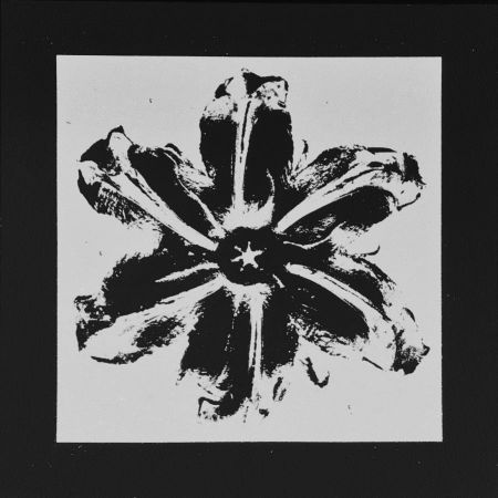Сериграфия Robierb - Power Flower (Black)