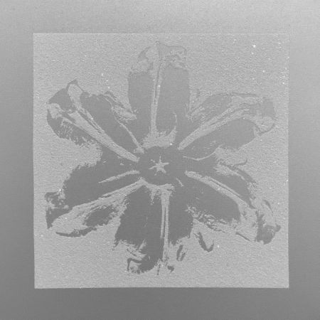 Сериграфия Robierb - Power Flower (Silver)