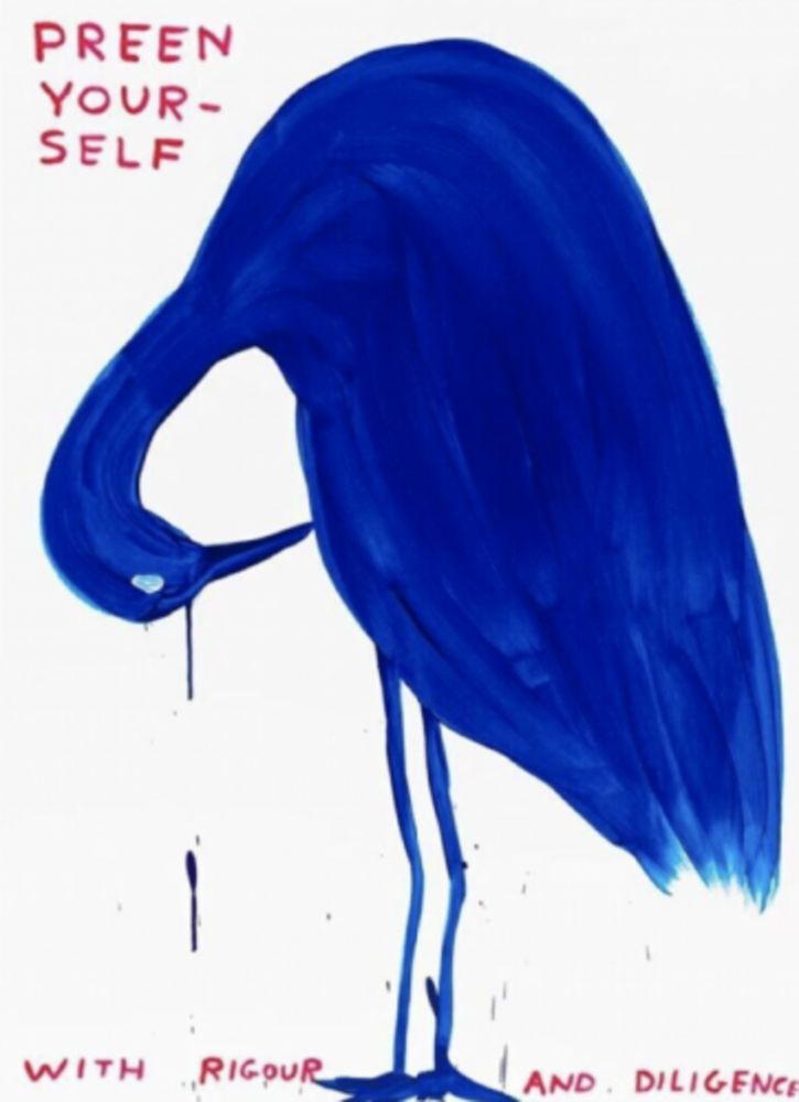 Сериграфия Shrigley - Preen Yourself