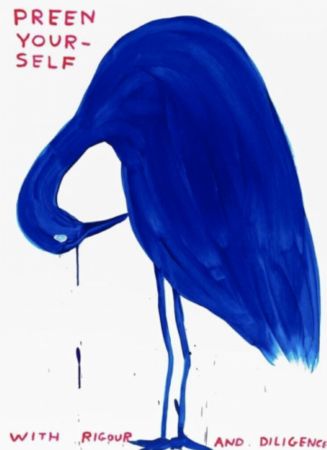 Сериграфия Shrigley - Preen Yourself