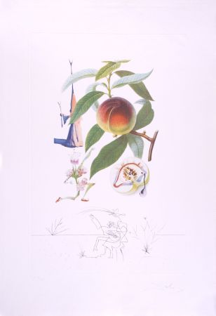 Гравюра Сухой Иглой Dali - Pécheur pénitent - Peach (Suite Flordali Les Fruits)