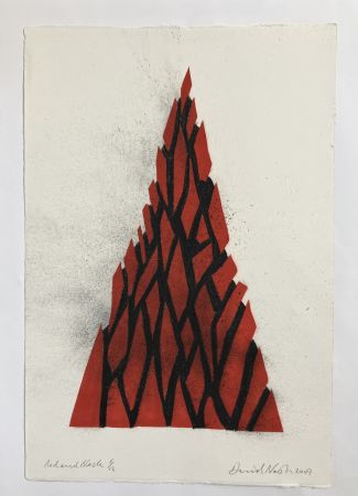 Нет Никаких Технических Nash - Red and black triangle, 2009