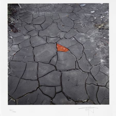 Цифровой Эстамп Goldsworthy - Red Leaves on Cracked earth