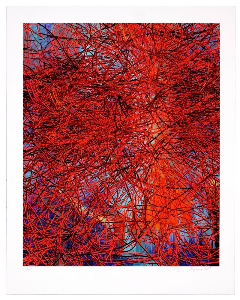 Цифровой Эстамп Myrvold - Red Wires in Sunset