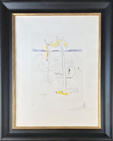Гравюра Сухой Иглой Dali - Salvador Dalí (1904-1989) - Color drypoint etching on Arches paper - 1973
