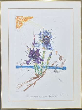Гравюра Сухой Иглой Dali - Salvador Dalí (1904–1989) - Coloured drypoint etching on heliogravures - 1972