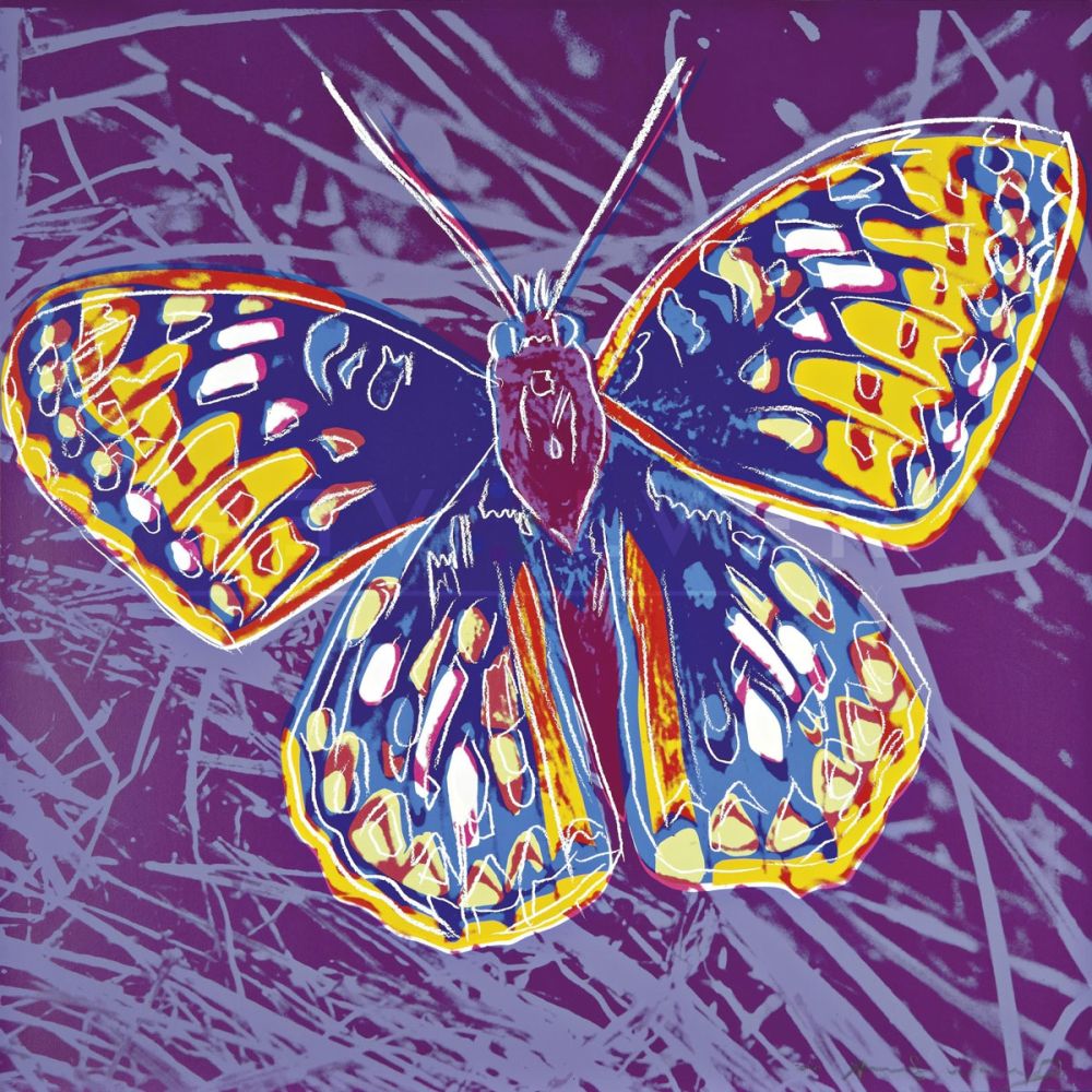 Сериграфия Warhol - San Francisco Silverspot (FS II.298)