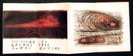 Иллюстрированная Книга Toyofuku - Segni e vibrazioni