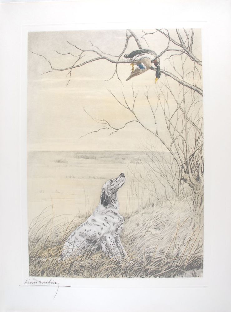 Гравюра Danchin - Setter et Canard branche - English Setter and Duck in a tree (Original)