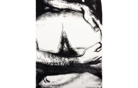 Сериграфия Warhol - Sex Parts II.173