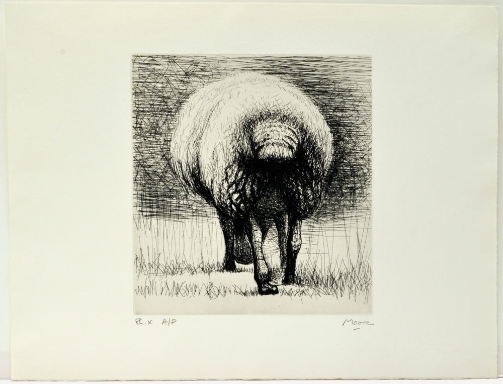 Офорт Moore - Sheep back view