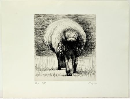 Офорт Moore - Sheep back view