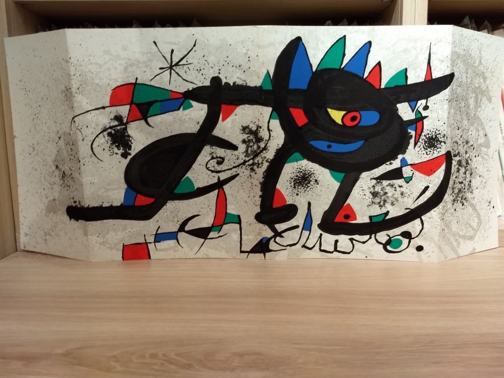 Иллюстрированная Книга Miró - Sobreteixims
