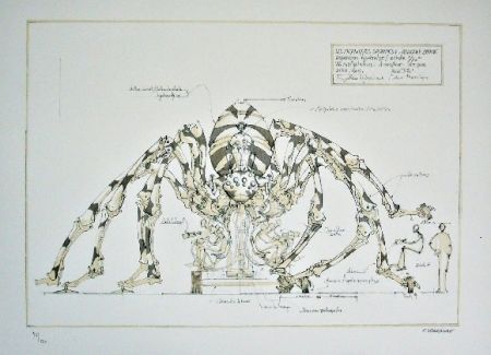 Литография Delarozière - Spider - mecanique savante - Liverpool  La machine