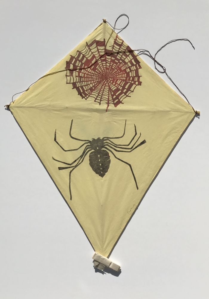 Нет Никаких Технических Toledo - Spider and Web Kite