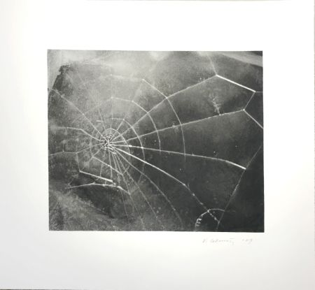 Сериграфия Celmins - Spider Web 