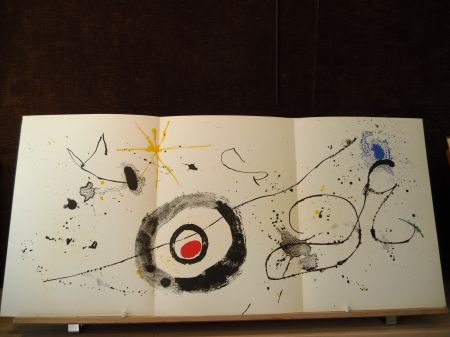 Иллюстрированная Книга Miró - Terres de grand feu