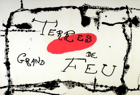 Литография Miró - Terres de grand feu