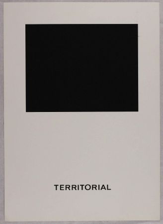Сериграфия Agnetti - Territorial from 'Spazio perduto e spazio costruito' portfolio, Plate B