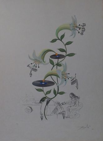 Гравюра Dali - The Lily - Lilium Musicum
