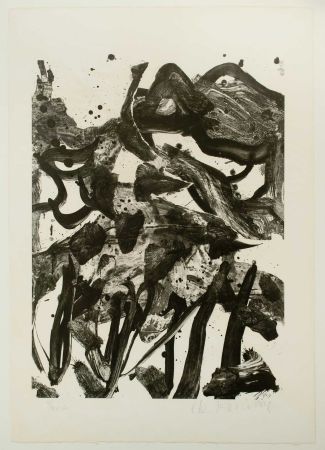 Литография De Kooning - The Marshes