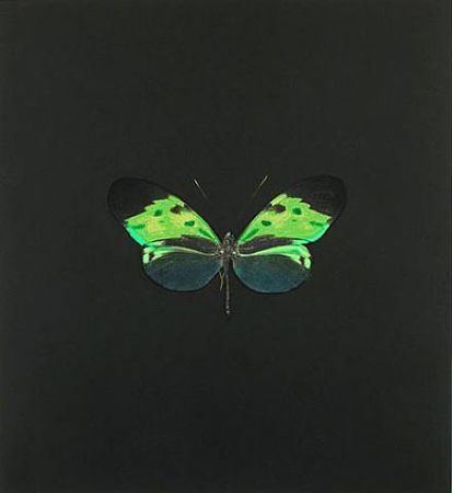 Офорт Hirst - The Souls on Jacob's Ladder Take Their Flight (Small Green)