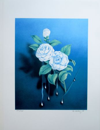Литография Ahlberg - The White Rose