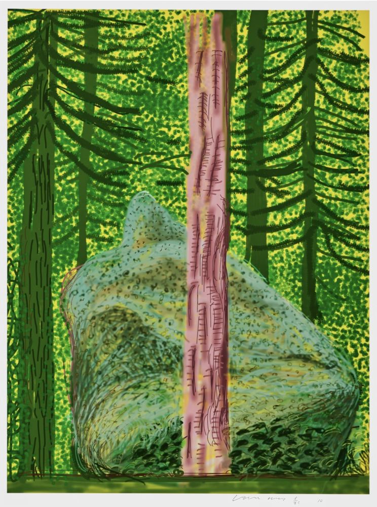 Нет Никаких Технических Hockney - The Yosemite Suite No. 19 is a iPad drawing printed in colour by David Hockney