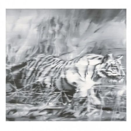 Гашение Richter - Tiger
