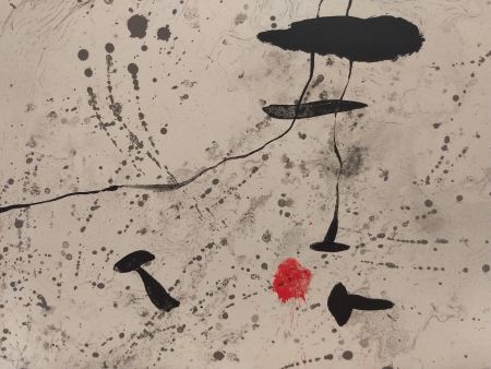 Иллюстрированная Книга Miró - Trace Sur l'eau
