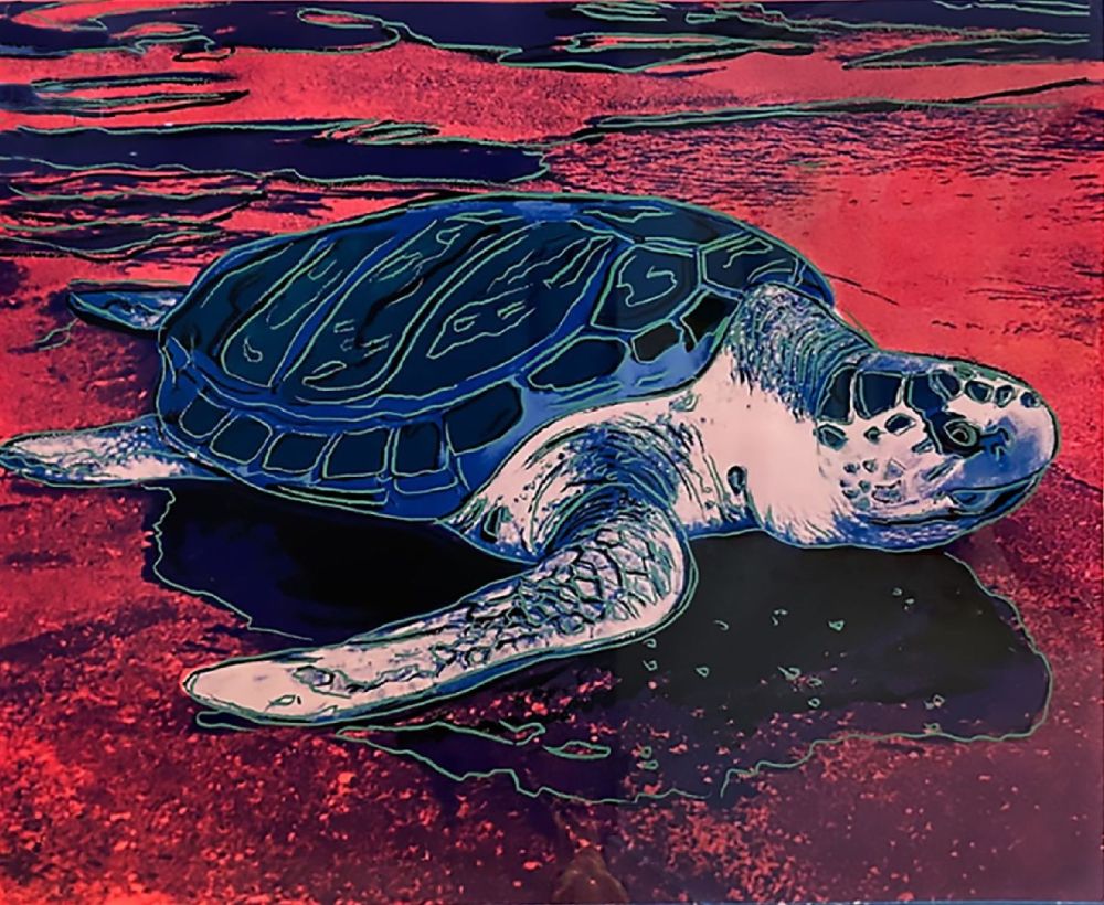 Сериграфия Warhol (After) - Turtle