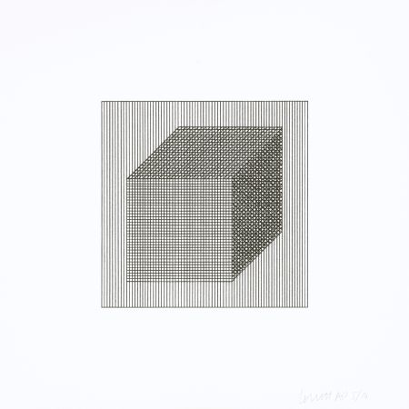 Сериграфия Lewitt - Twelve Forms Derived From a Cube 02