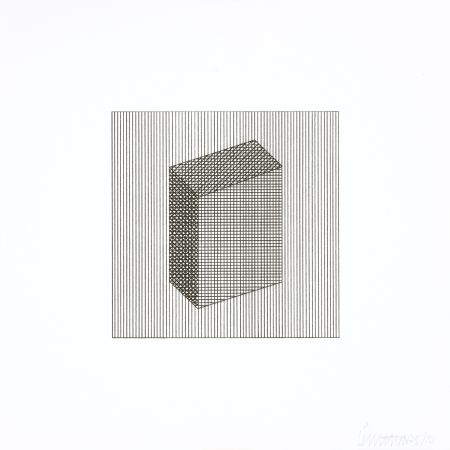 Сериграфия Lewitt - Twelve Forms Derived From a Cube 18