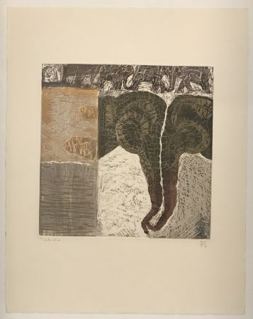 Гравюра Toledo - Two Elephants