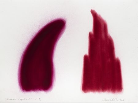 Трафарет Nash - Two Forms, Magenta and Crimson