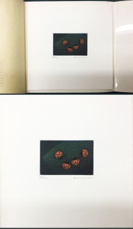 Mezzotint Hamaguchi - Two Pairs (Ladybirds). signed. with the original book (1976)