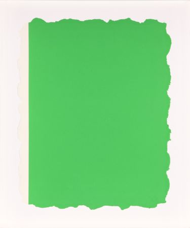 Акватинта Flavin - Untitled, from Sequences - Green