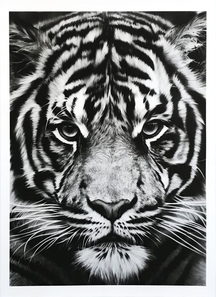 Нет Никаких Технических Longo - Untitled (Tiger)
