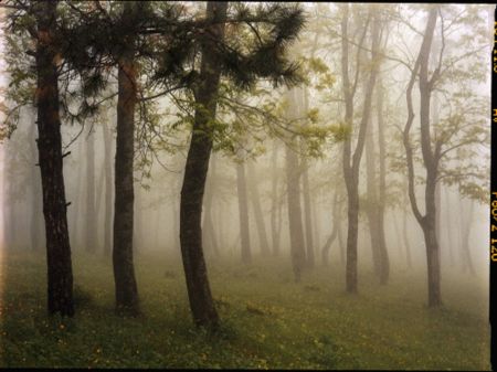 Фотографии Sitchinava - Upslope Fog in May 3