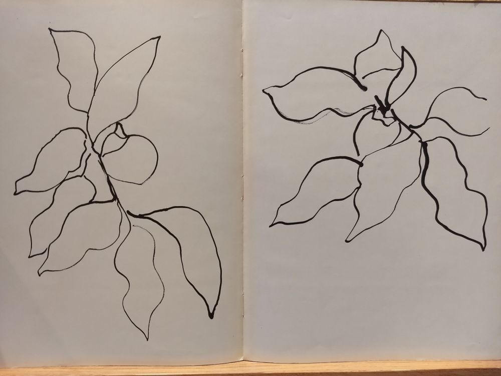 Иллюстрированная Книга Matisse - Vence