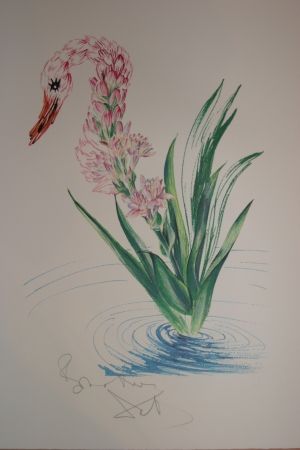Литография Dali - Water-Hybiscus Swan (surrealistic flowers)