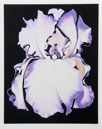 Сериграфия Nesbitt - White Iris on Black