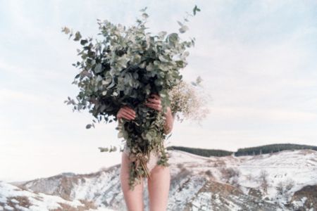 Фотографии Sitchinava - Winter Bouquet