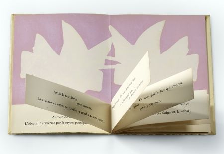 Иллюстрированная Книга Braque - XX Pensées
