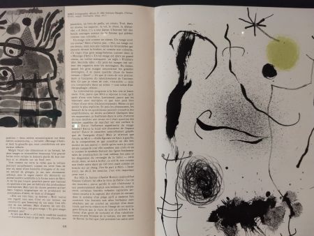 Иллюстрированная Книга Miró - XXE No 24