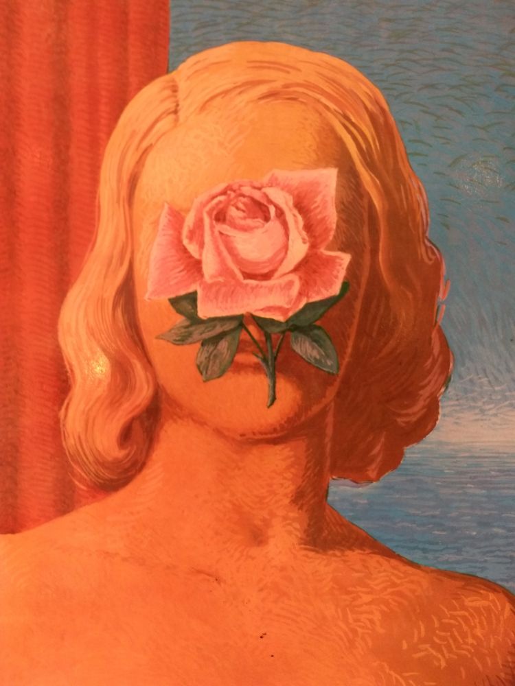 Иллюстрированная Книга Magritte - XXE No 25