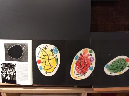 Иллюстрированная Книга Miró - Xxe No 31