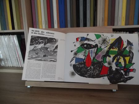 Иллюстрированная Книга Miró - Xxe Tanning